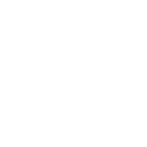 American Academy of Nursing